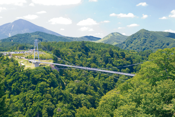 九重“夢”大吊橋