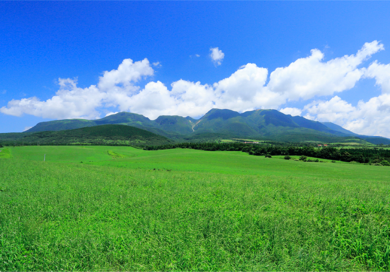 くじゅう周遊の景色