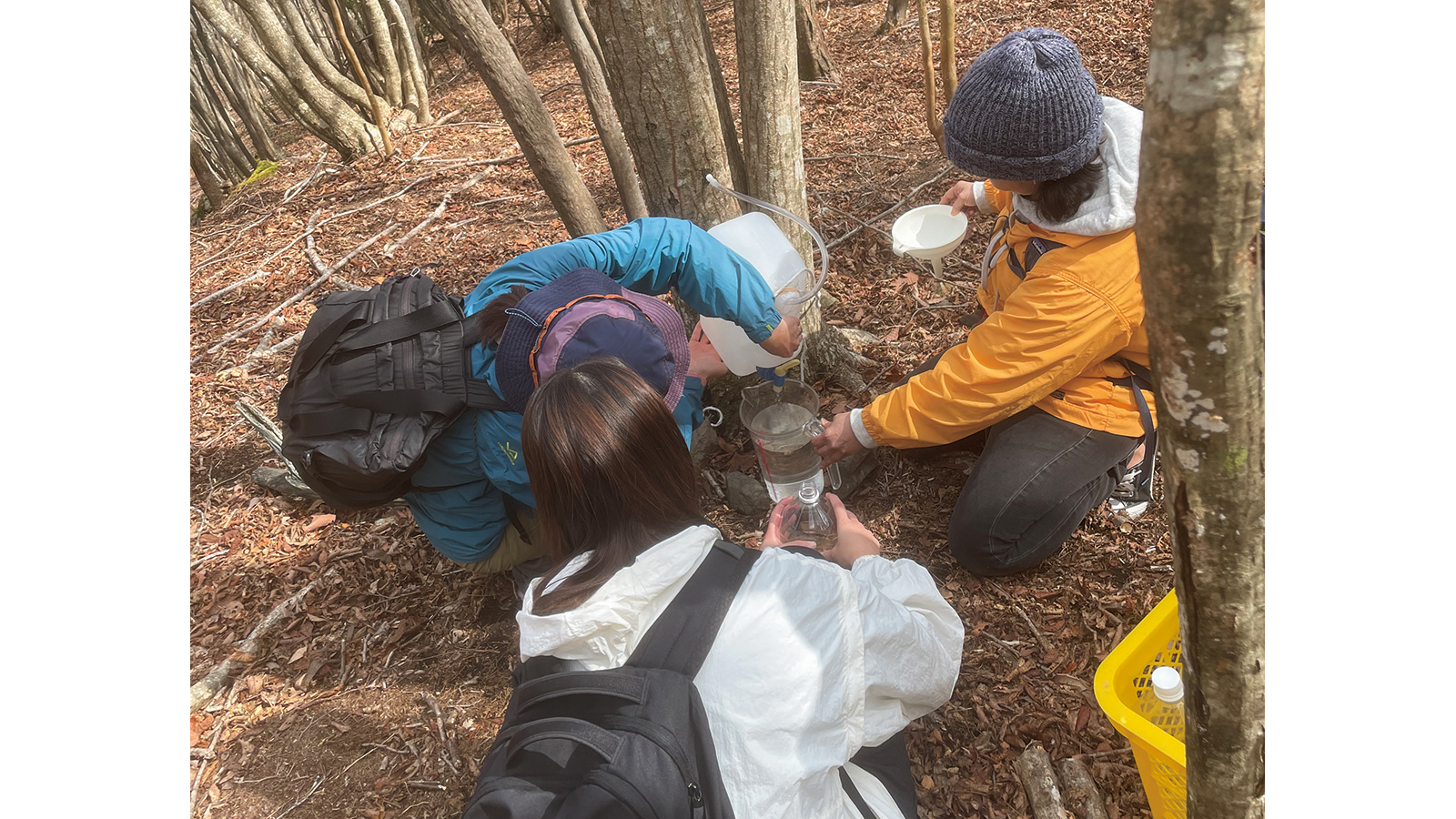 maplexplorers 2ptの様子