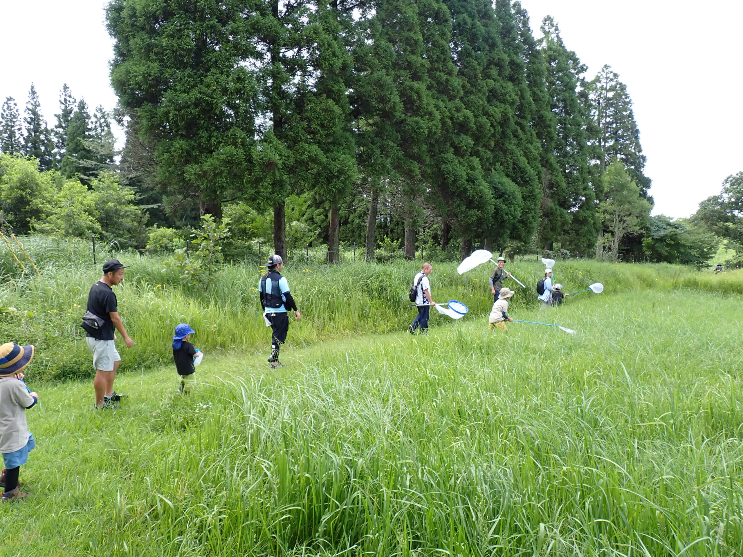 九重ふるさと自然学校 2ptの様子