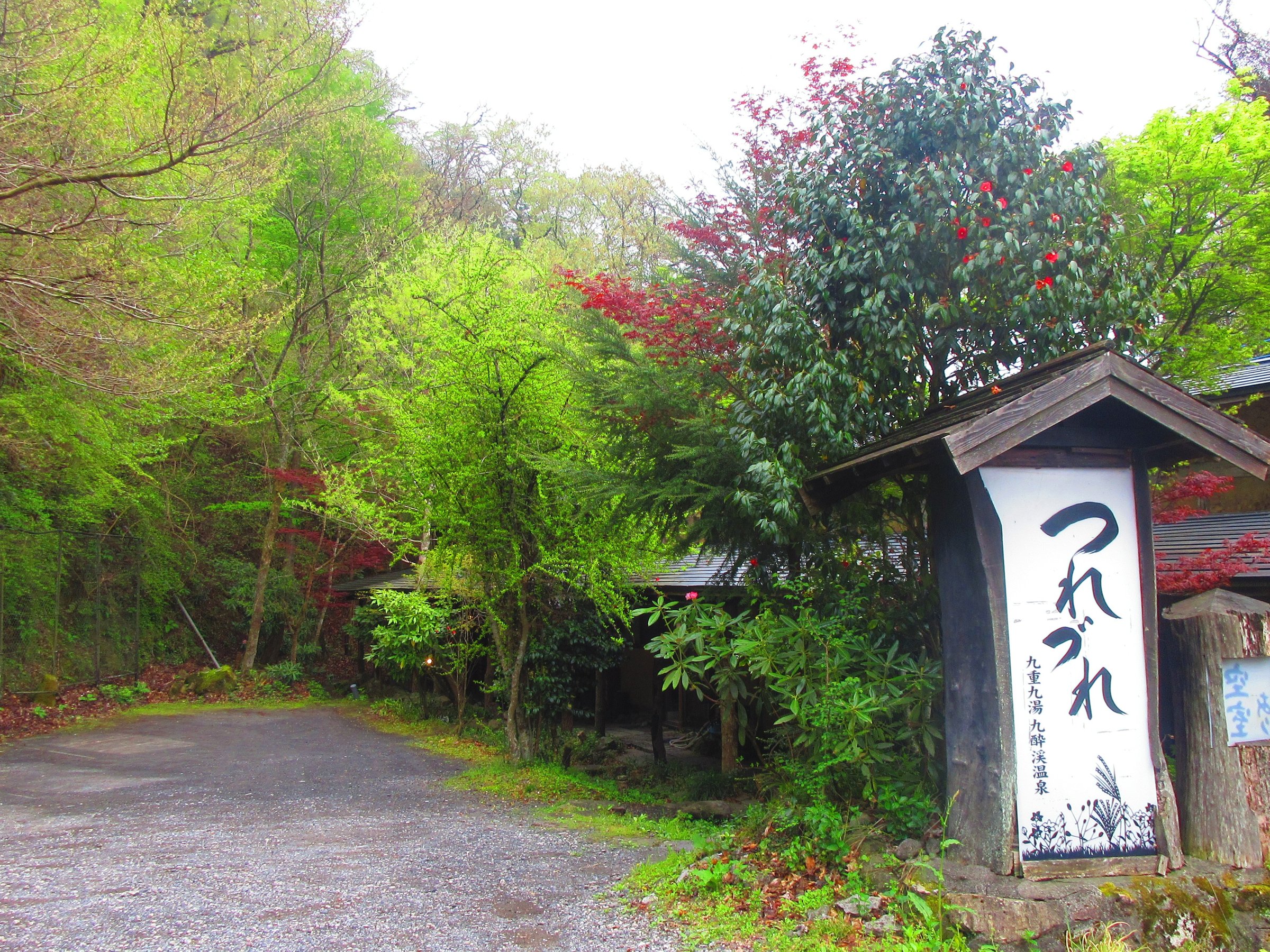 蛍と絶景の宿　つれづれ　3ptのビジュアル