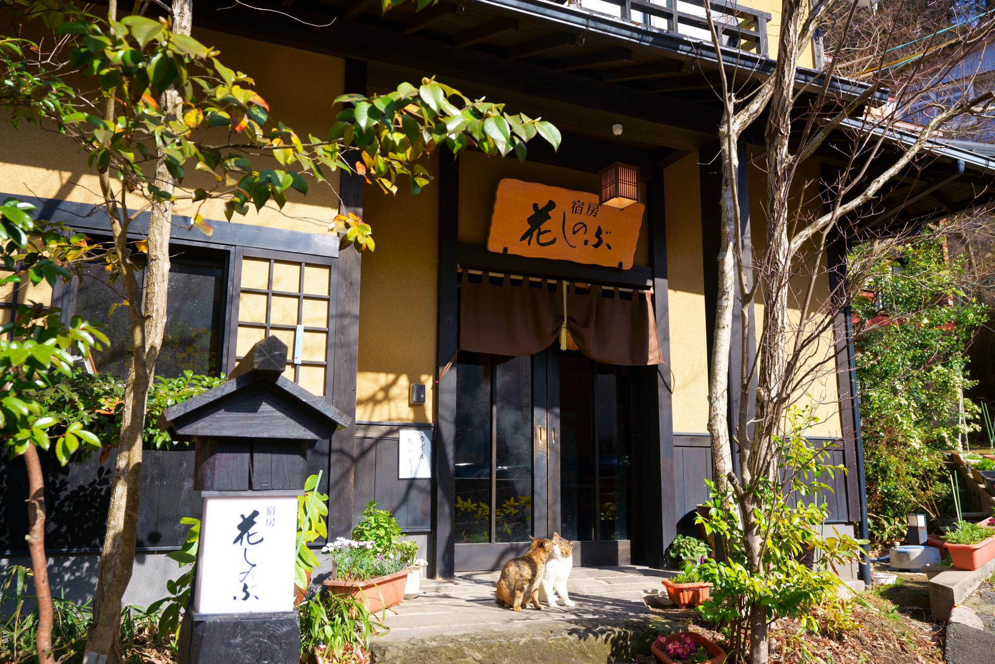 宿房　花しのぶ　3ptの様子