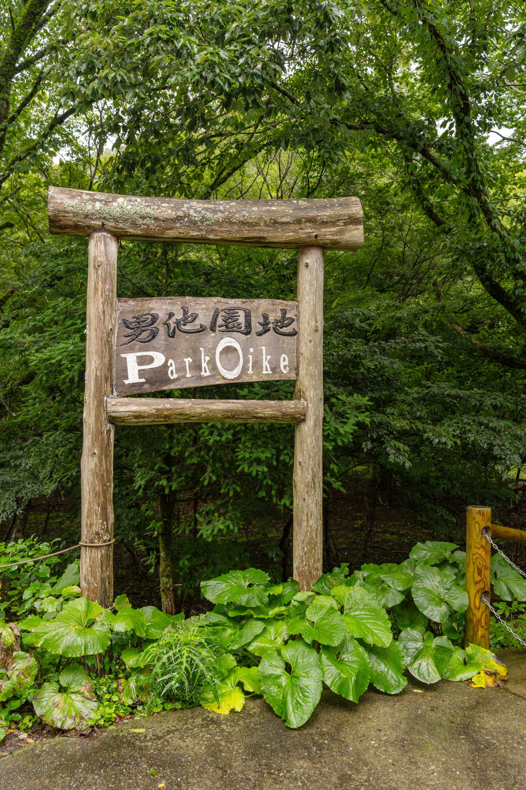 男池湧水群　1ptの様子