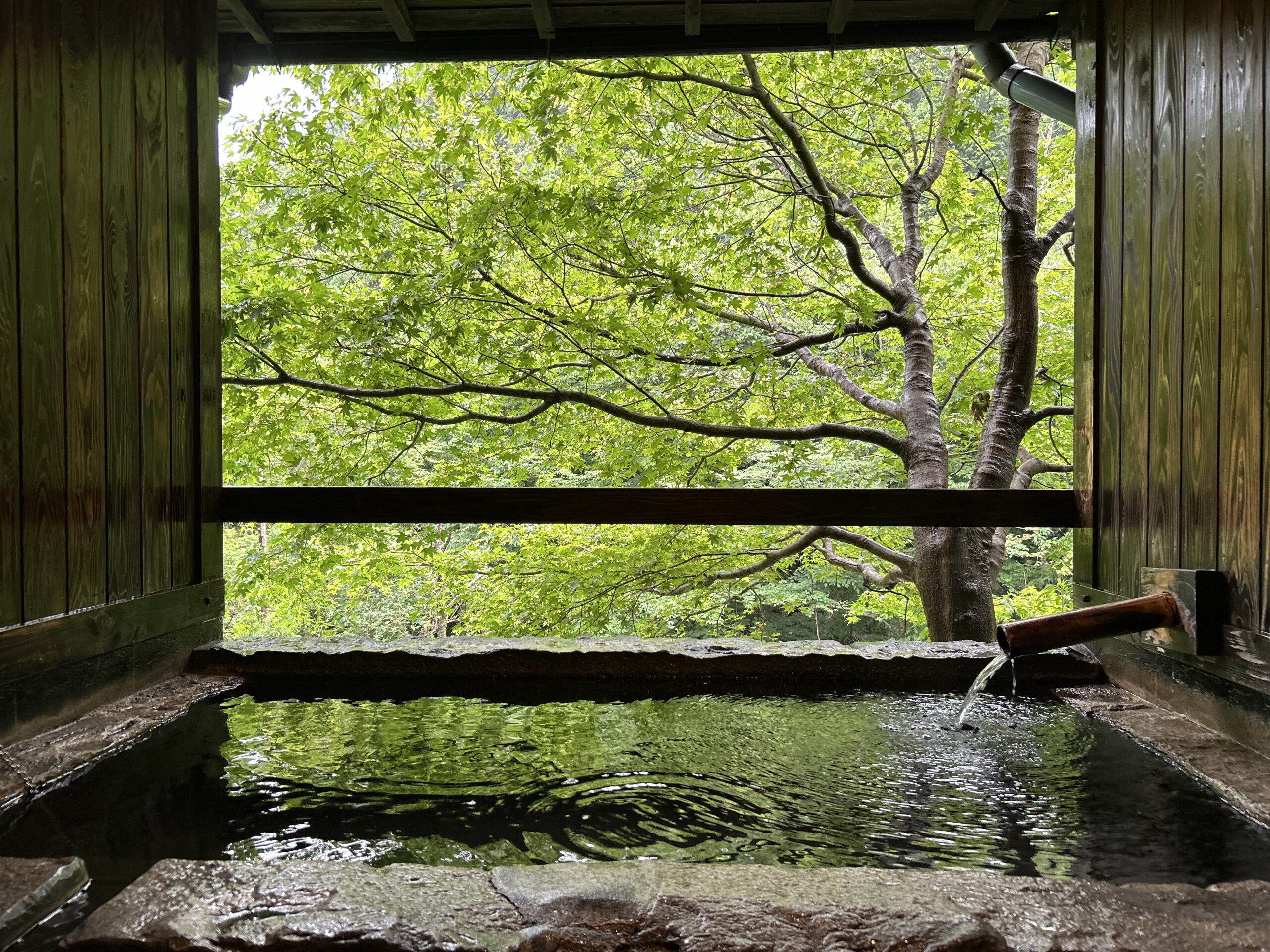 旅館　白滝　3ptの様子